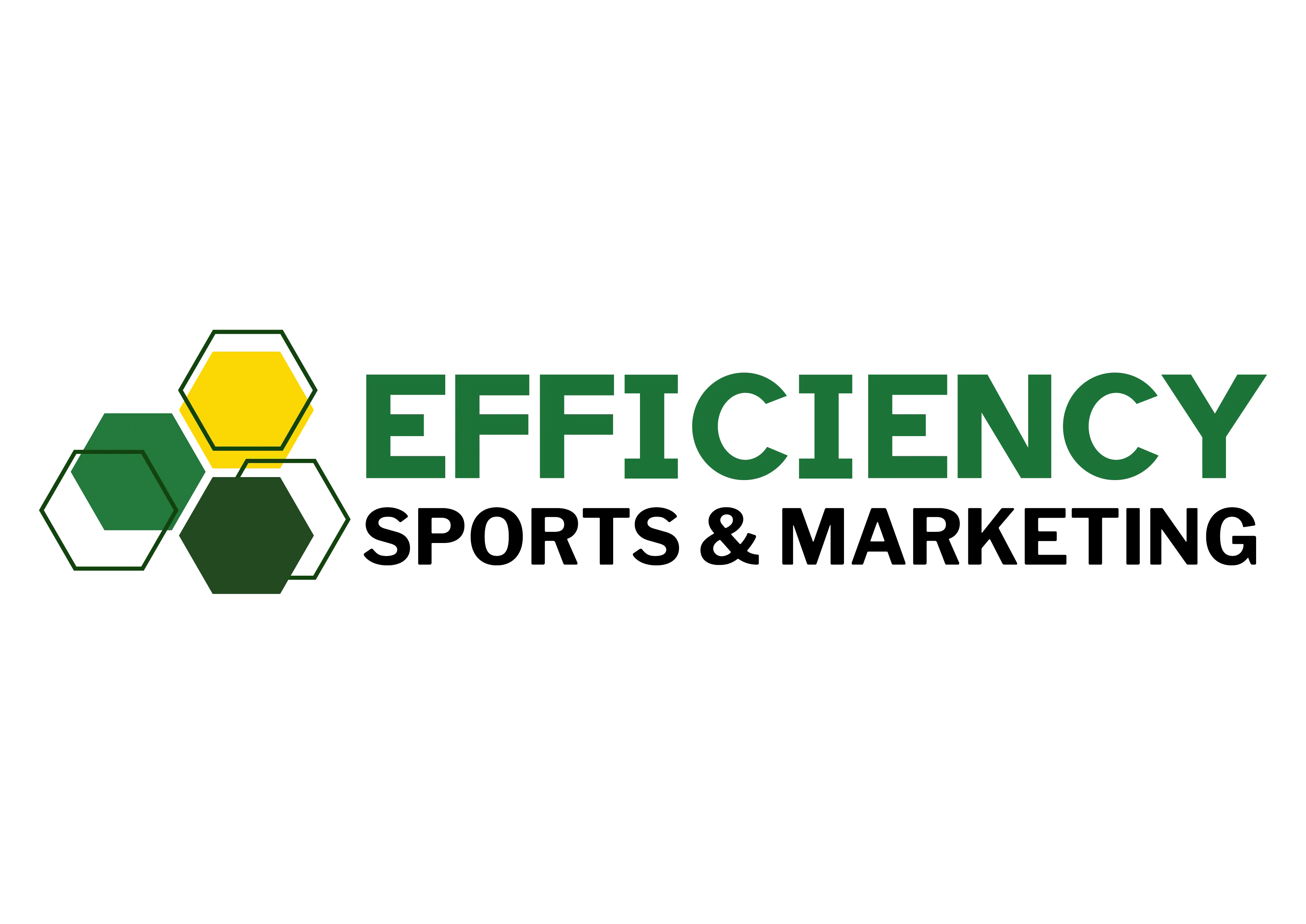 Efficiency Sports & Marketing